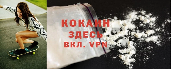 мяу мяу мука Белокуриха